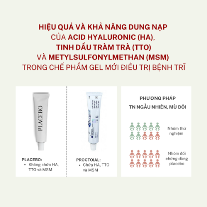 Picture for blog post HIỆU QUẢ VÀ KHẢ NĂNG DUNG NẠP CỦA ACID HYALURONIC, TINH DẦU TRÀM TRÀ VÀ METYLSULFONYLMETHAN TRONG CHẾ PHẨM GEL MỚI ĐIỀU TRỊ BỆNH TRĨ