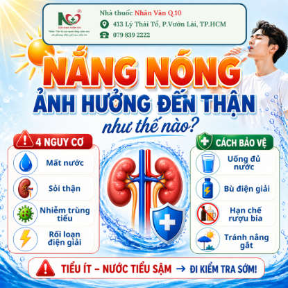 Picture for blog post NẮNG NÓNG ẢNH HƯỞNG ĐẾN THẬN NHƯ THẾ NÀO?