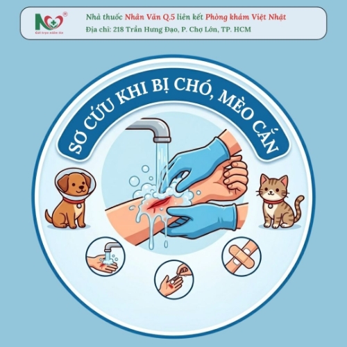 Picture for blog post SƠ CỨU KHI BỊ CHÓ, MÈO CẮN: XỬ LÝ ĐÚNG ĐỂ PHÒNG BỆNH DẠI