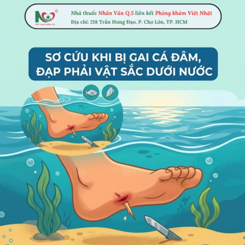 Picture for blog post SƠ CỨU KHI BỊ GAI CÁ ĐÂM, ĐẠP PHẢI VẬT SẮC DƯỚI NƯỚC: HƯỚNG DẪN CHI TIẾT VÀ AN TOÀN   